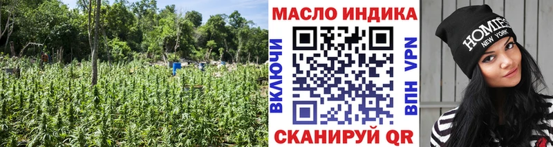 KRAKEN как зайти Любим ТГК гашишное масло