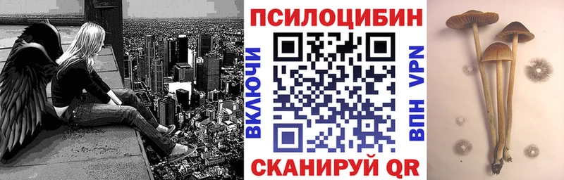 Галлюциногенные грибы GOLDEN TEACHER  Любим 